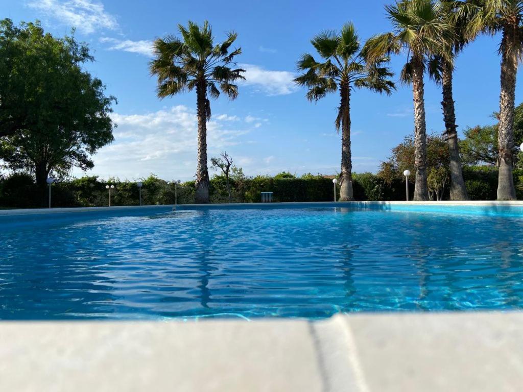 a swimming pool with palm trees in the background at Villa Rosella appartamento 2 - con piscina - 150 m dal mare in Casa Margherita