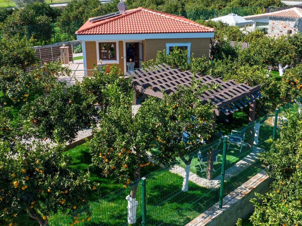 une vue sur un verger de pommiers planté d'orangers dans l'établissement Desa Green Homes, à Ancient Epidavros