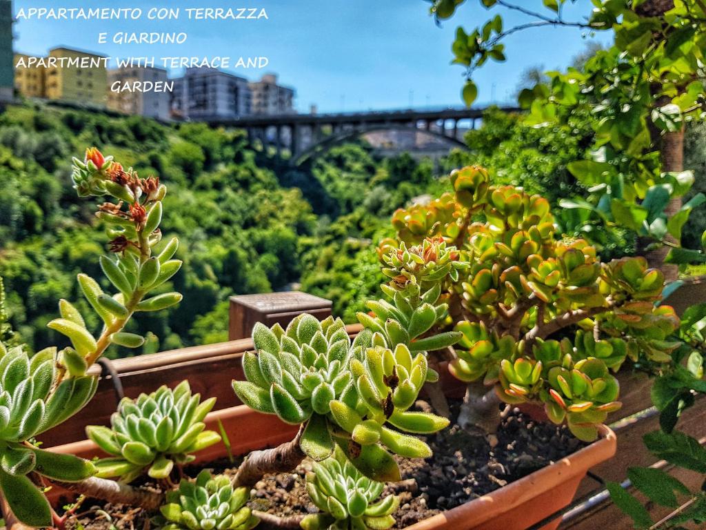 Il Giardino Sulla Valle - Apartamento Con Terraza