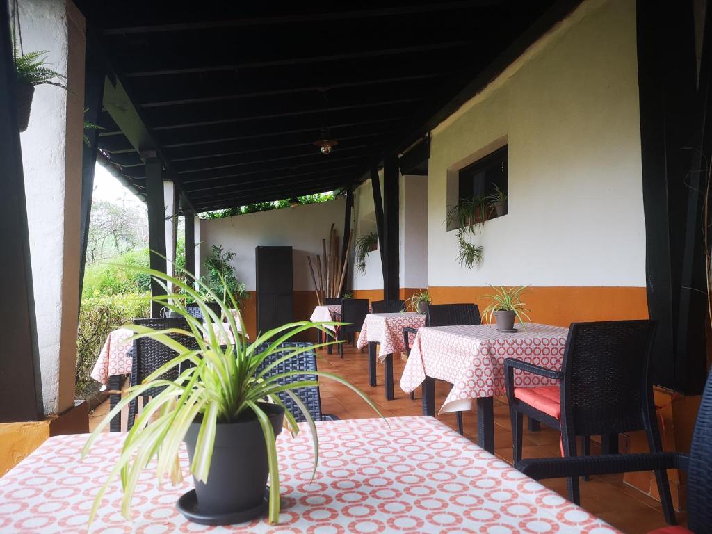 Restaurace v ubytování Olaskoaga Goikoa