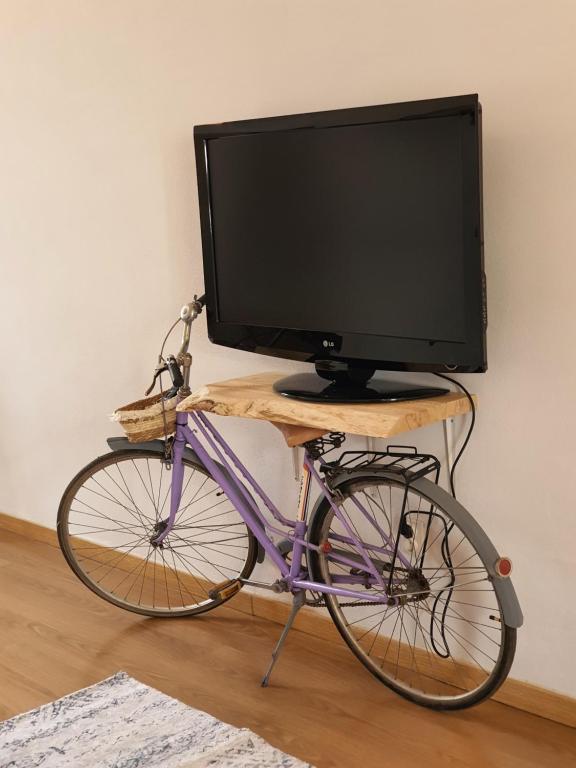 Una bicicleta púrpura con un televisor encima. en Casa Gil Vicente en Évora