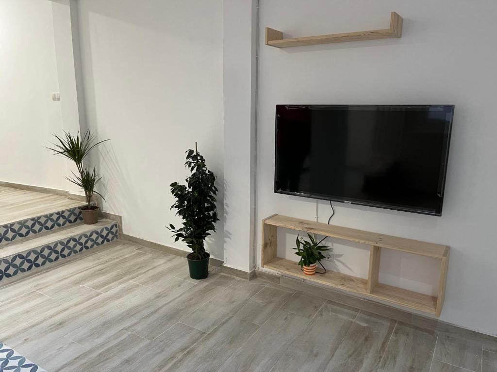TV a/nebo společenská místnost v ubytování Alzira bonita Apartamento B con patio, la Casella