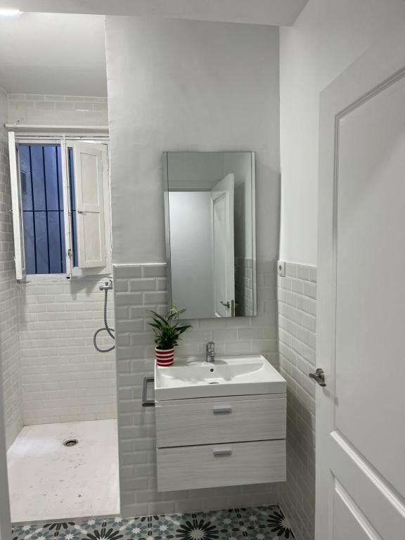 Koupelna v ubytování Alzira bonita Apartamento B con patio, la Casella