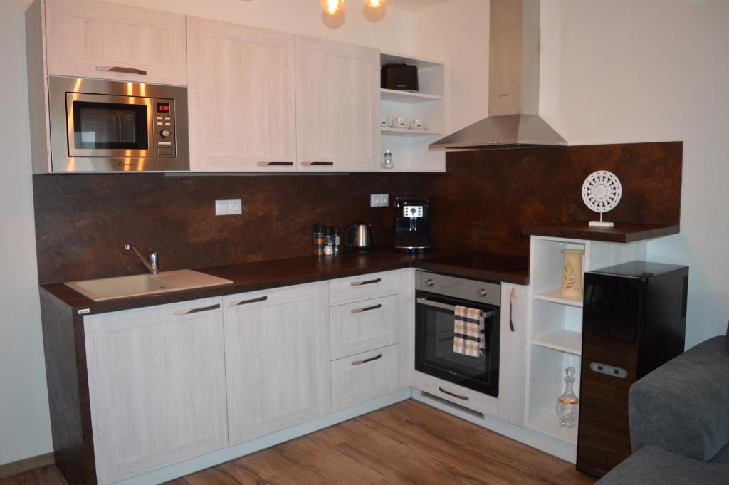 Kuchyň nebo kuchyňský kout v ubytování Apartmány Olšovská
