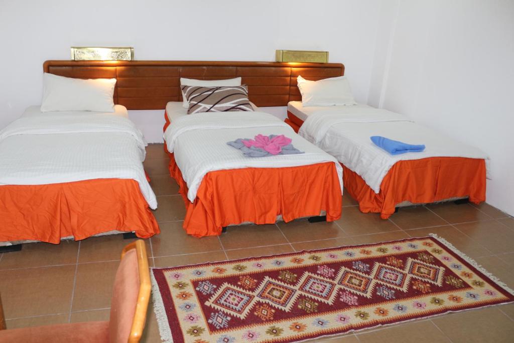Ameer apartment - Triple Salle De Base