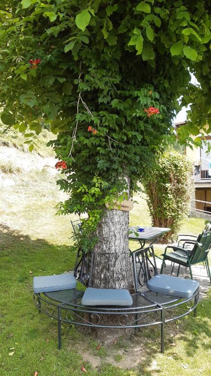 Zahrada ubytování Pension Persch