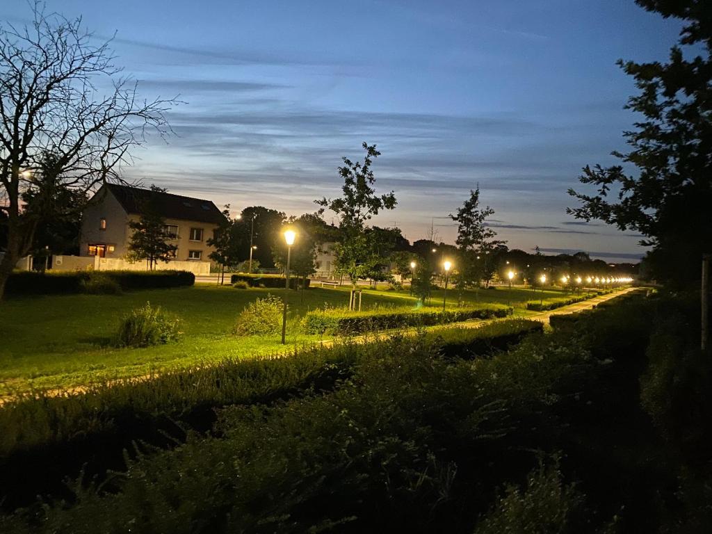 un parque de noche con luces en una calle en OLGA Chambre d'hote en Verdun