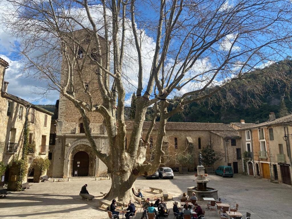 grupa ludzi siedzących wokół drzewa na dziedzińcu w obiekcie MACLENFA: charmant studio au cœur de l’Herault. w mieście Saint-Guilhem-le-Désert