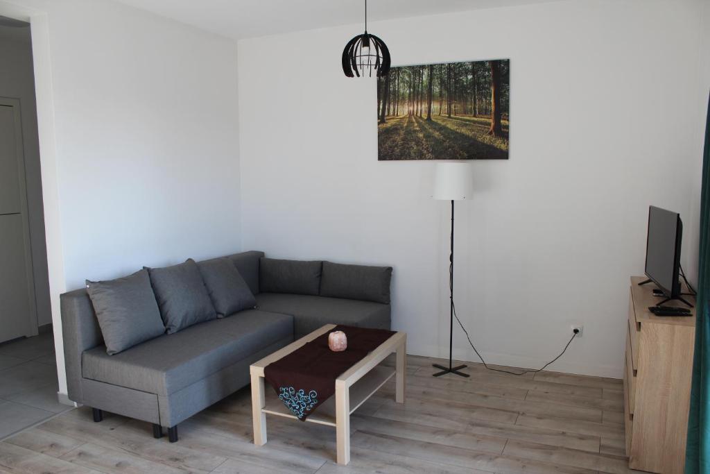 TV a/nebo společenská místnost v ubytování Apartament Fibra Freddo