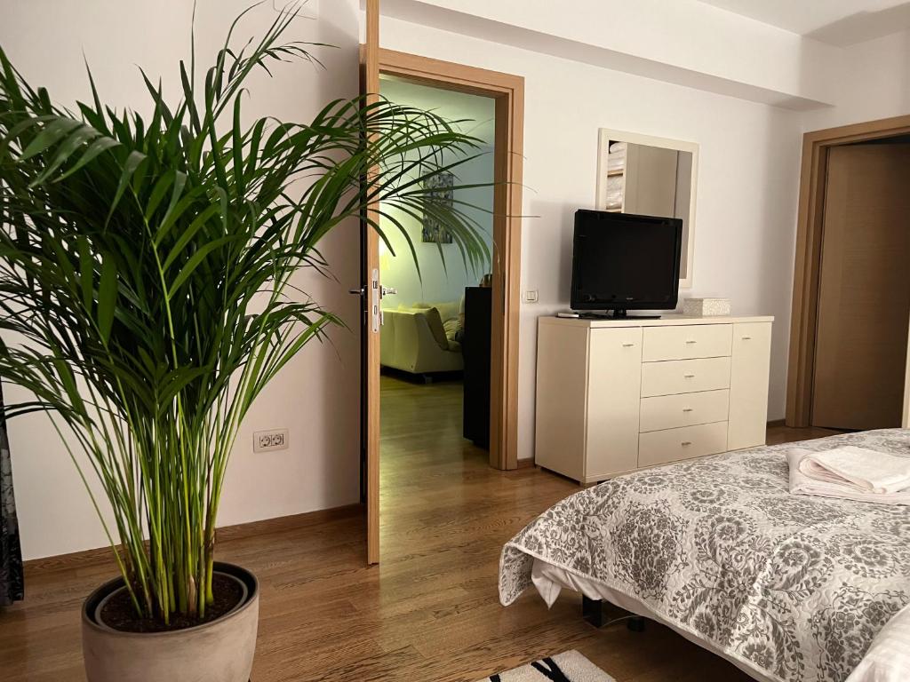 Et tv og/eller underholdning på Herastrau Park Apartment