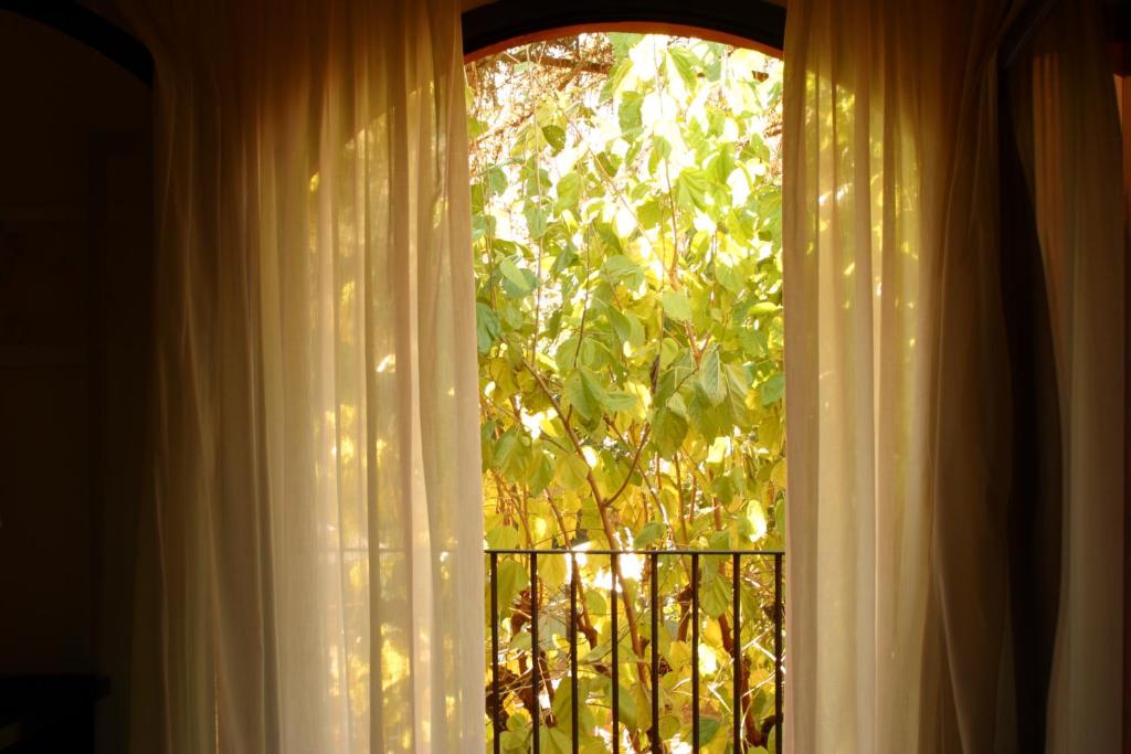 een raam met uitzicht op een boom bij Hotel Torres in Arbúcies
