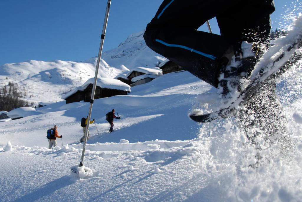 Berggasthaus Wasenalp v zimě