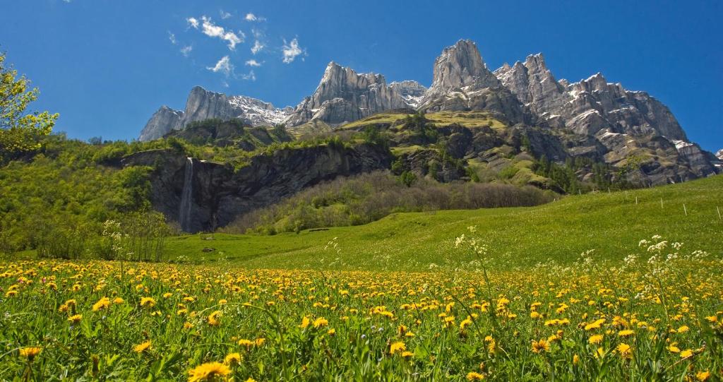 Le Bristol Leukerbad - Resim 38