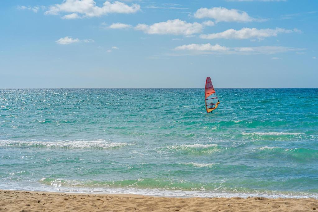 Táj Show holiday homes közelében