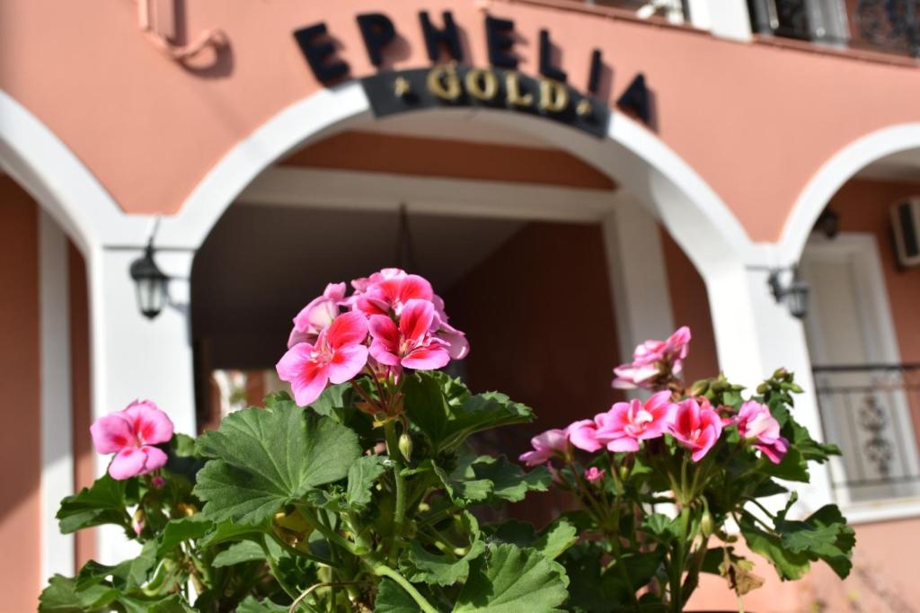 un vaso di fiori rosa di fronte a un edificio di Ephelia gold a Laganas