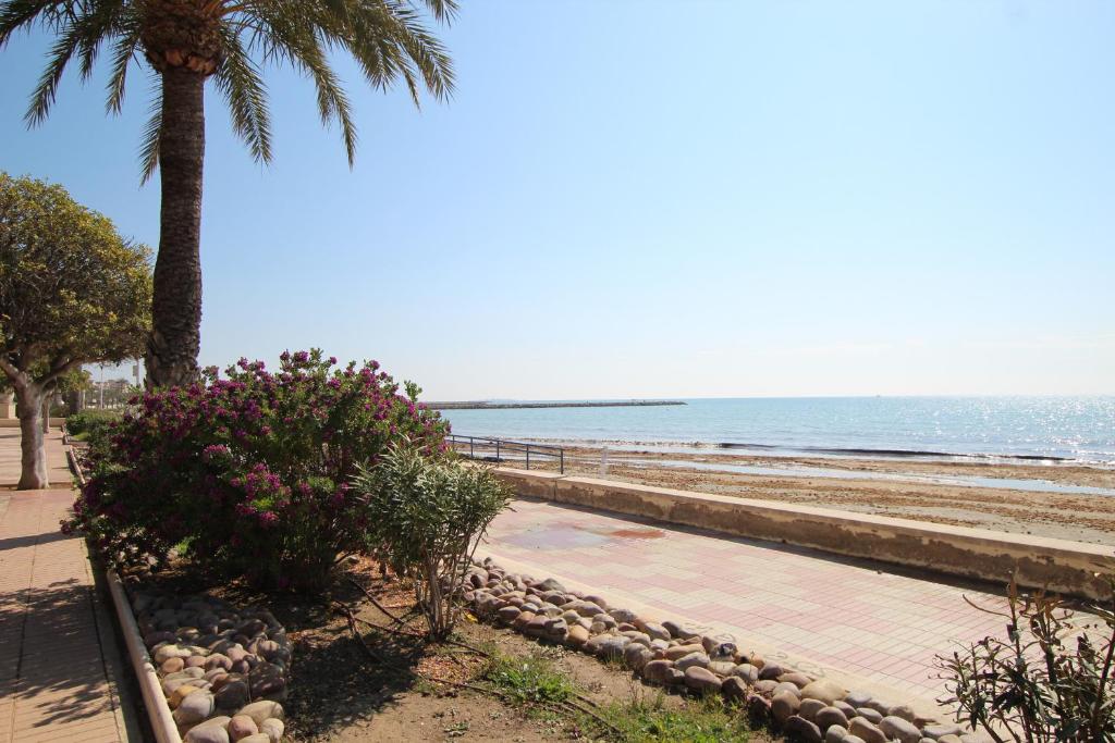 Apartamento Neptuno en el paseo de Santa Pola - Housity