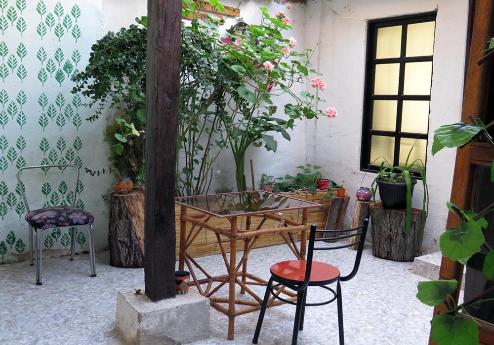 Zahrada ubytování Hotel Aroma del Bosque Posada Cafe