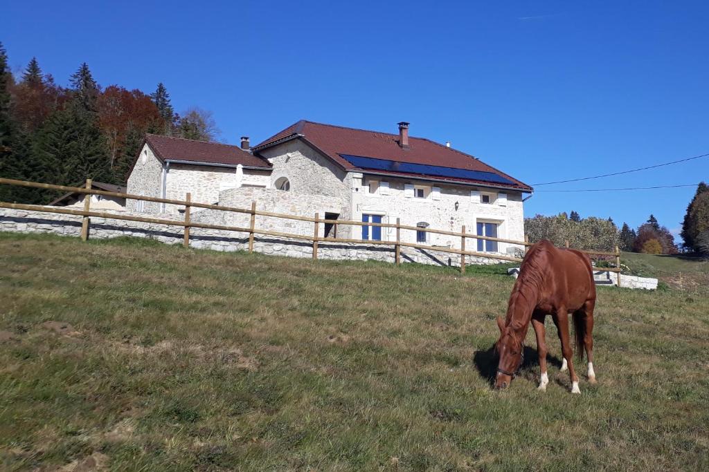 um cavalo a pastar num campo em frente a uma casa em Gîte des 3 Marches em Lamoura