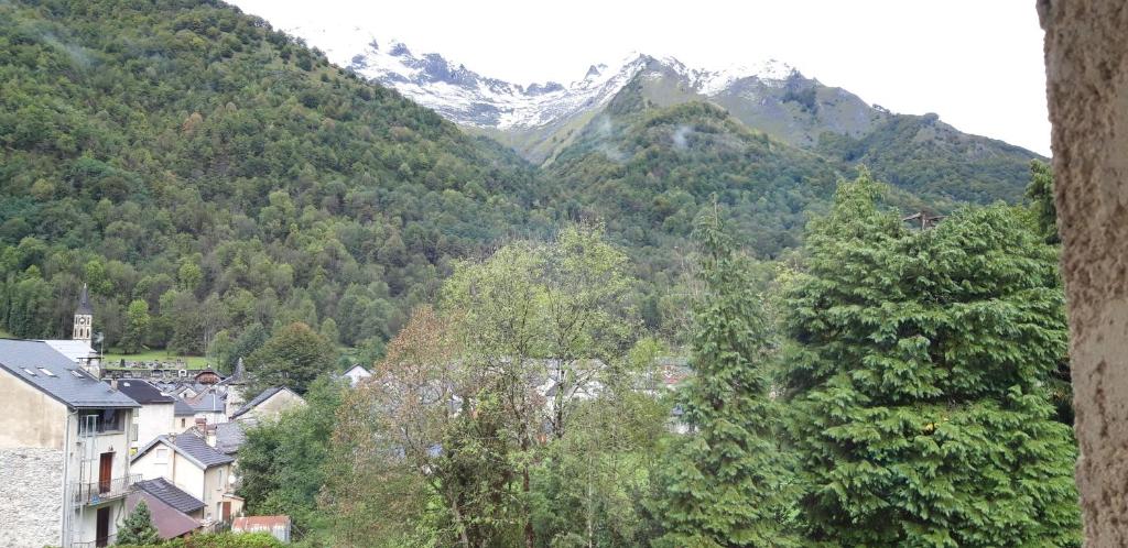 un village avec des arbres en face d'une montagne dans l'établissement Montagne Ariégeoise, à Aulus-les-Bains