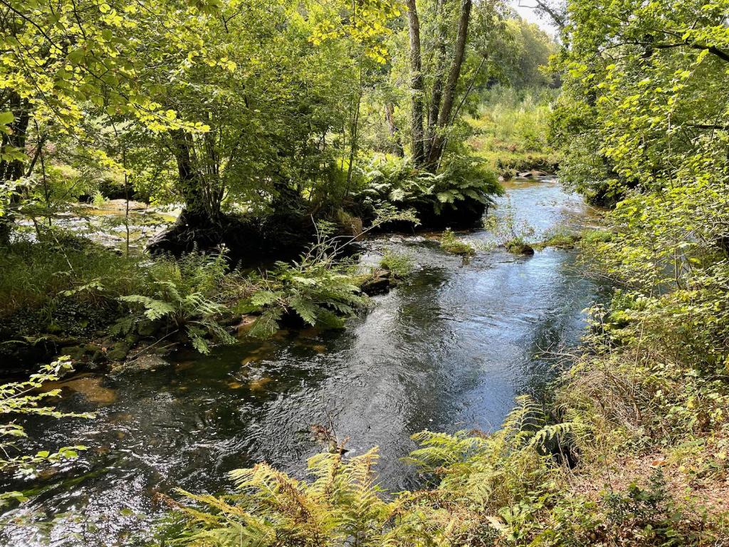 Natuurlandschap vlak bij het appartement