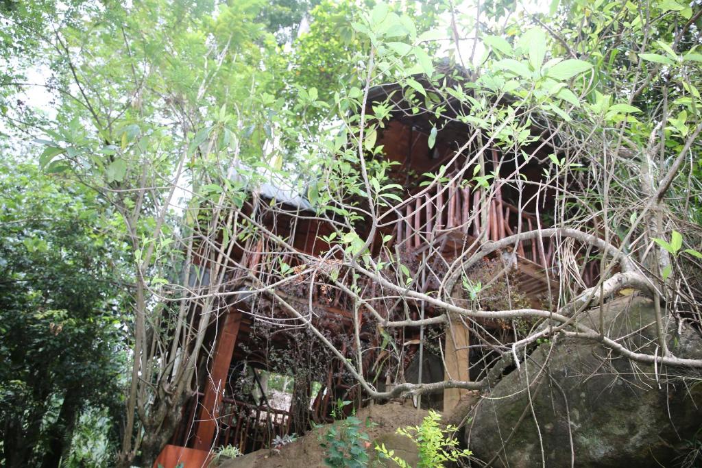 a tree with branches in front of a building at Jungle Face Inn in Ella