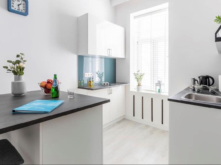 Kuchyň nebo kuchyňský kout v ubytování Wspólna 54 - Blue - Good Apartments