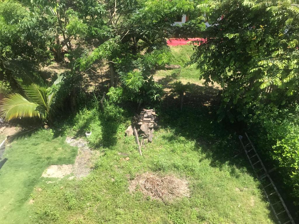 Zahrada ubytování Hostal Fara