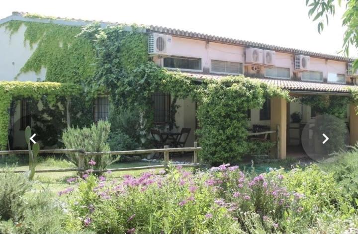 una casa con edera che cresce su un lato di essa di Il Piccolo Borgo a Montalto di Castro
