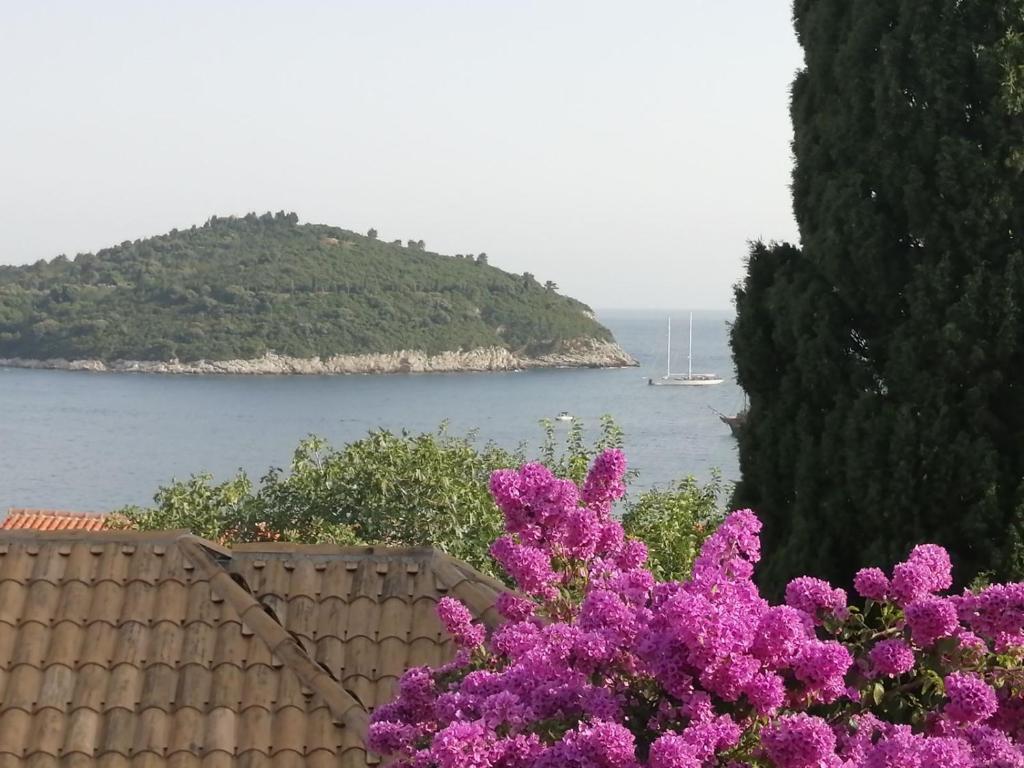 a bush with purple flowers in front of a body of water at Banje House in Dubrovnik