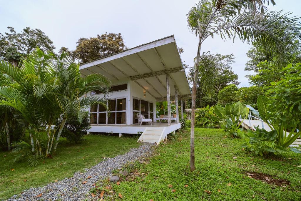 Sonora Jungle & Yoga Retreat - Studio