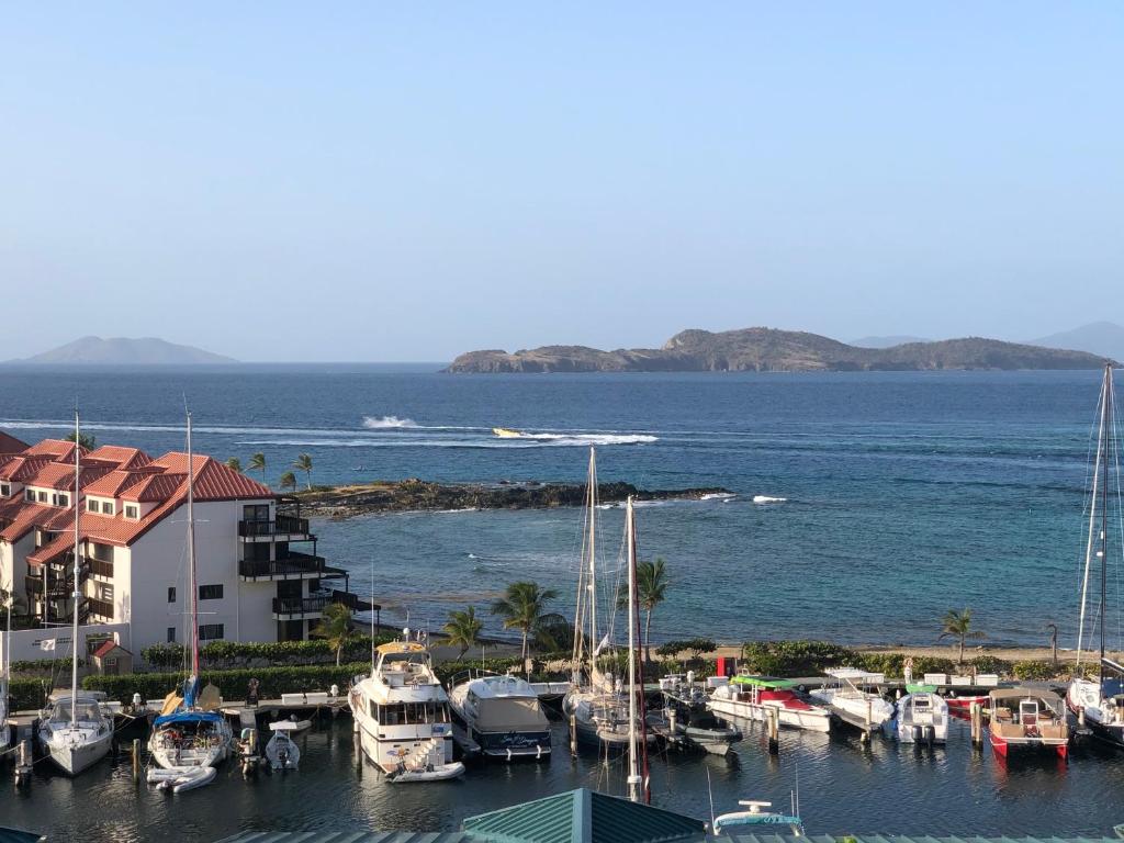 a group of boats docked in a marina at Sapphire Beach Villa Ocean and Marina View in St Thomas