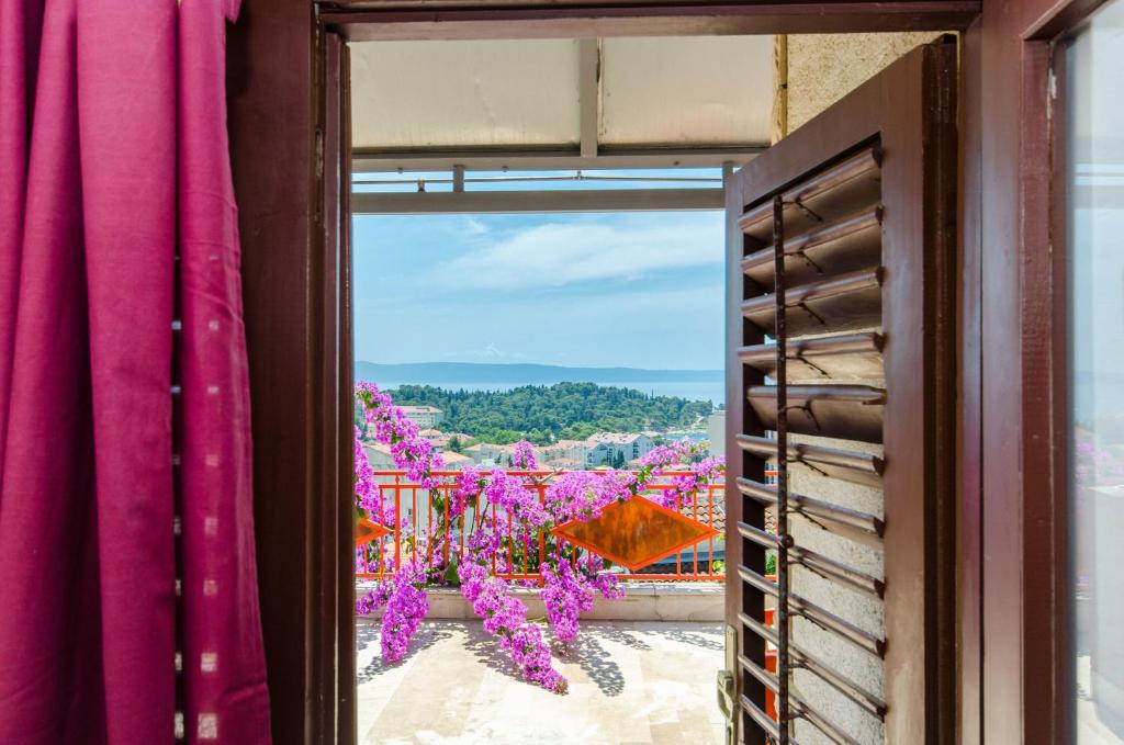 Příroda nedaleko apartmánu