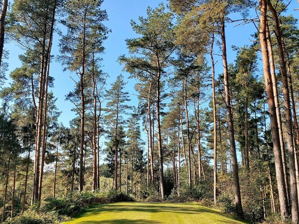 un campo de golf en medio de un bosque en Holiday home Gjern III en Gjern