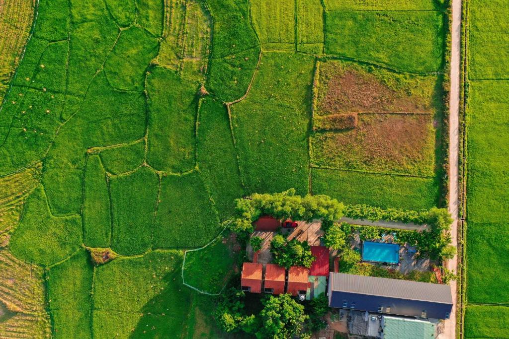 an overhead view of a farm in a field at Jungle Boss Travel Lodge in Phong Nha