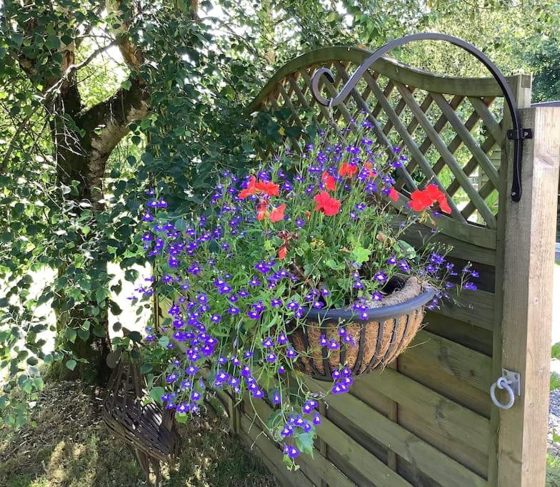 ChristowにあるKennick Barn, peace and quiet guaranteed, Dartmoorの木製のベンチの花かご