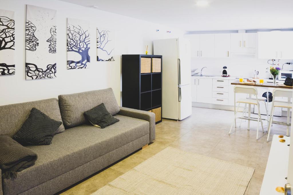 CDZ - Botica, Encantador apartamento en pleno centro histórico - One-Bedroom Apartment