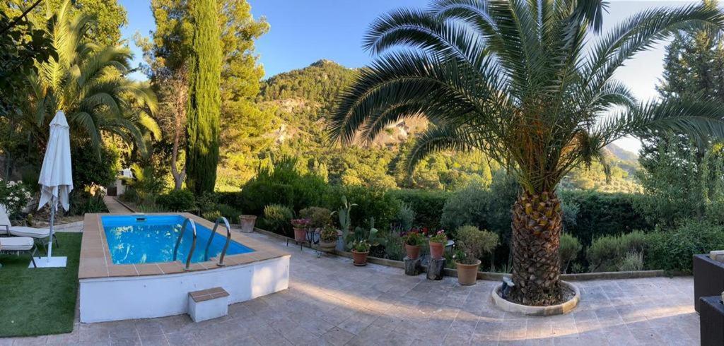 A garden outside Nueva Cazorla Mirador Cerro del Escribano