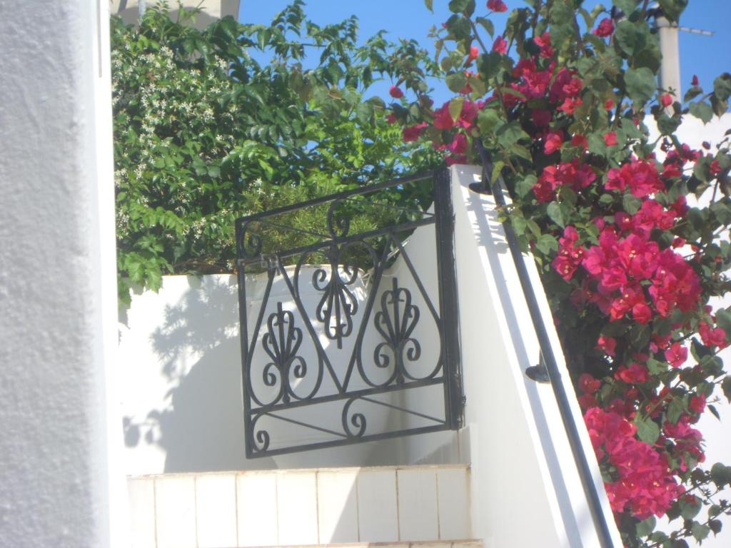 Fotografie z fotogalerie ubytování Palemilos Apartments v destinaci Elounda