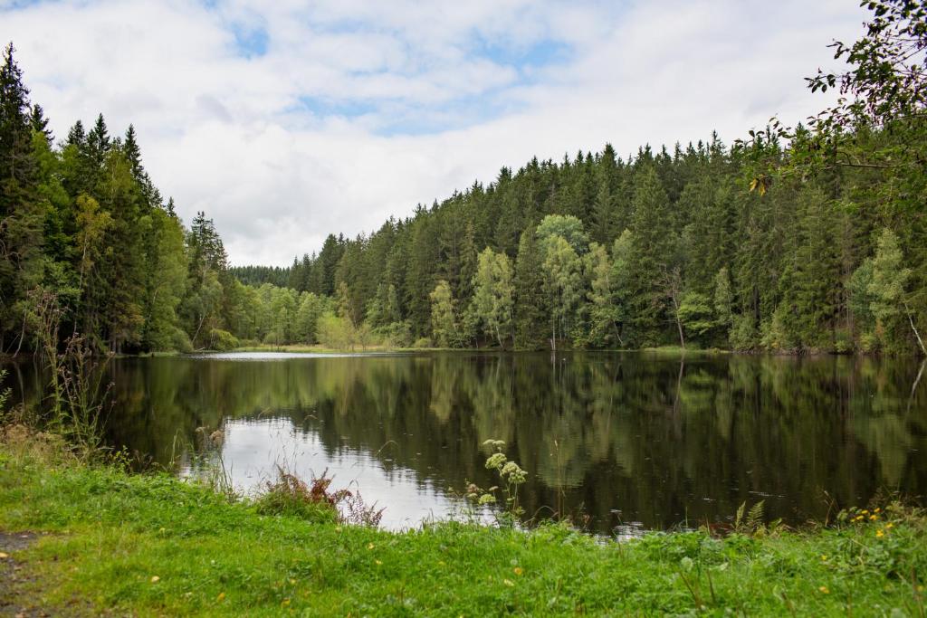 OREA Spa Hotel Cristal - Resim 15