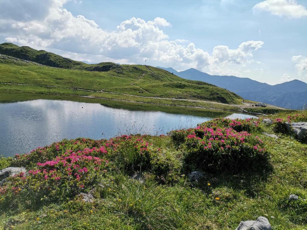 Fotografia z galérie ubytovania Gütl Plank v destinácii Altaussee