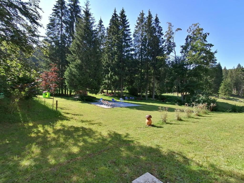Zahrada ubytování Hotel Elbele Garnì
