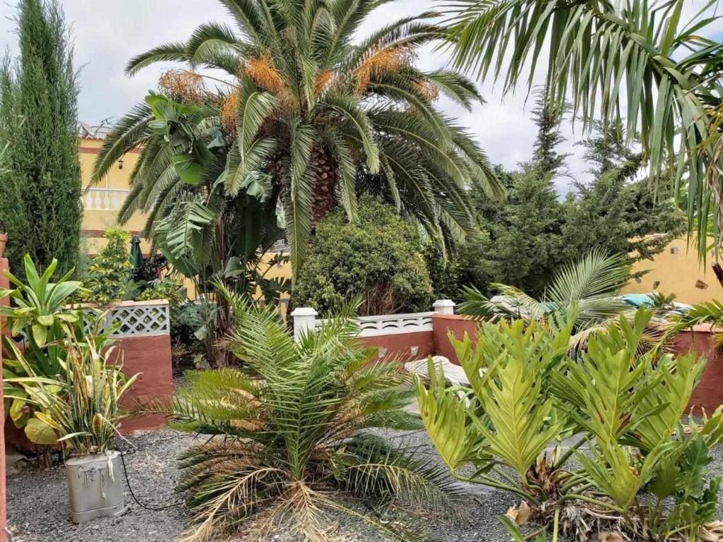 Villa Rural Casa Jorsam UNIFAMILIAR, Tazacorte – Updated 2022 ...