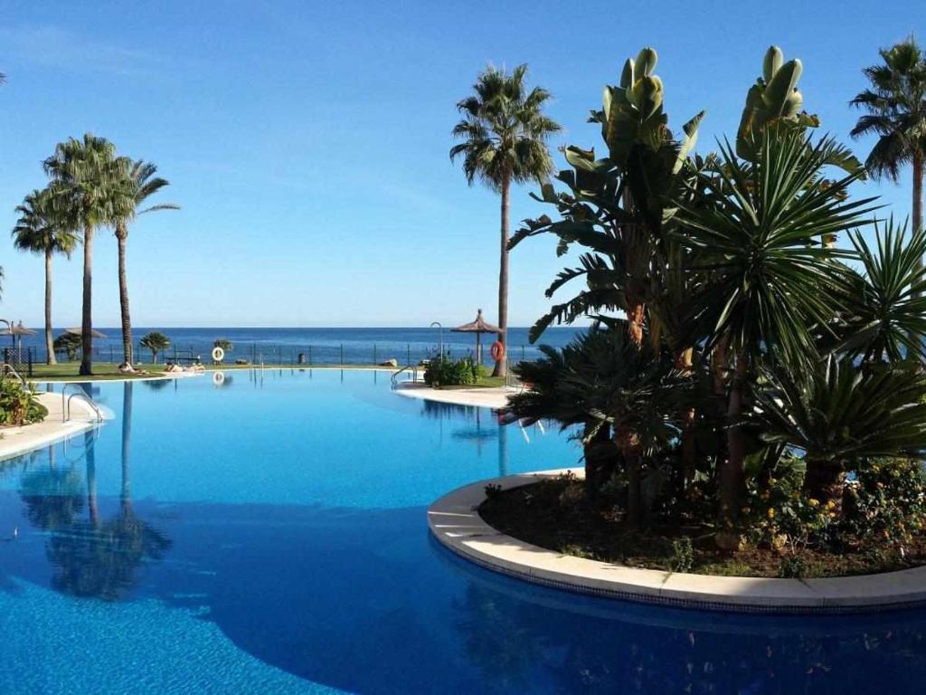 a large swimming pool with palm trees and the ocean at Apartamento Mi Capricho in Sitio de Calahonda