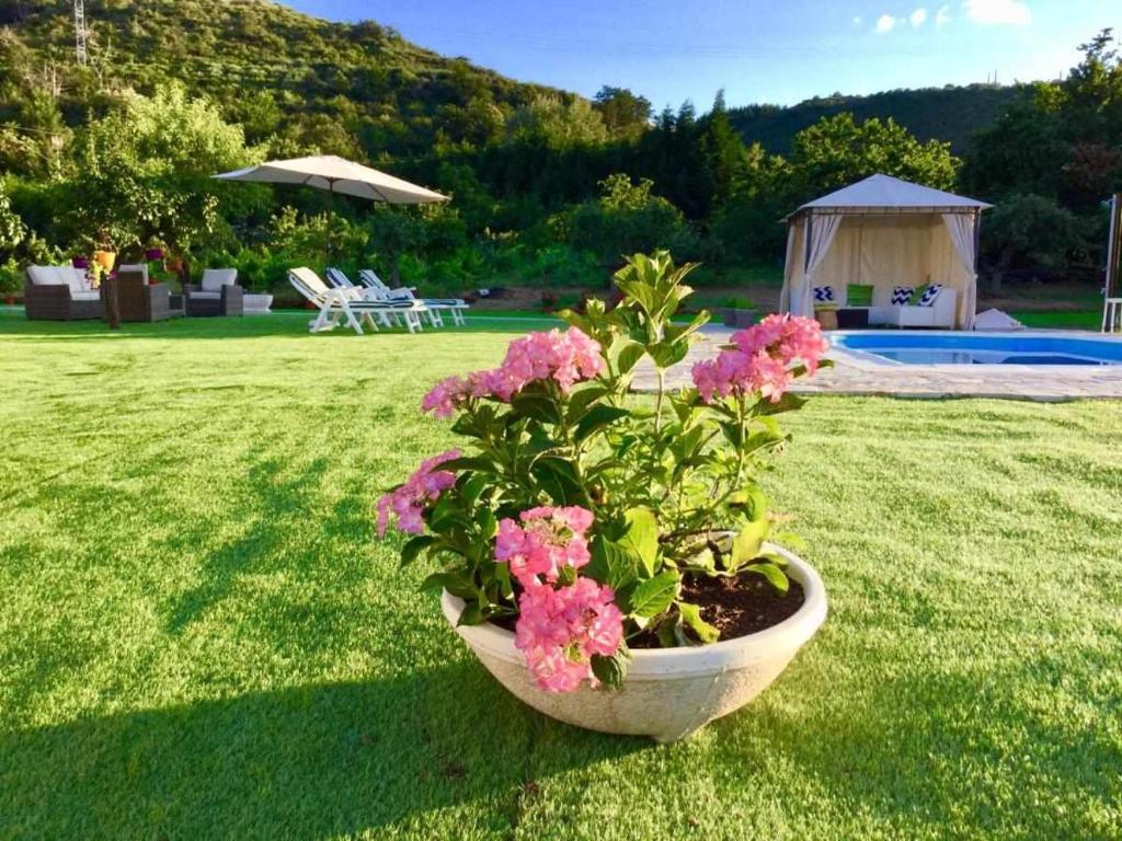 Zahrada ubytování Casa Rural Elias