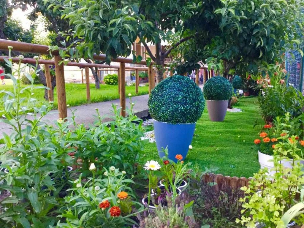Zahrada ubytování Casa Rural Elias