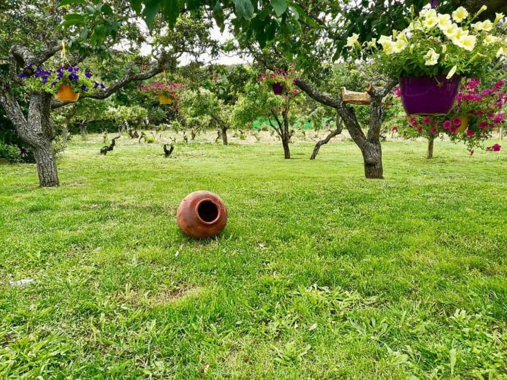 Zahrada ubytování Casa Rural Elias