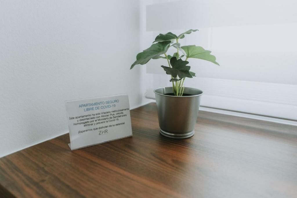 Apartamentos ZHR 1 - 4