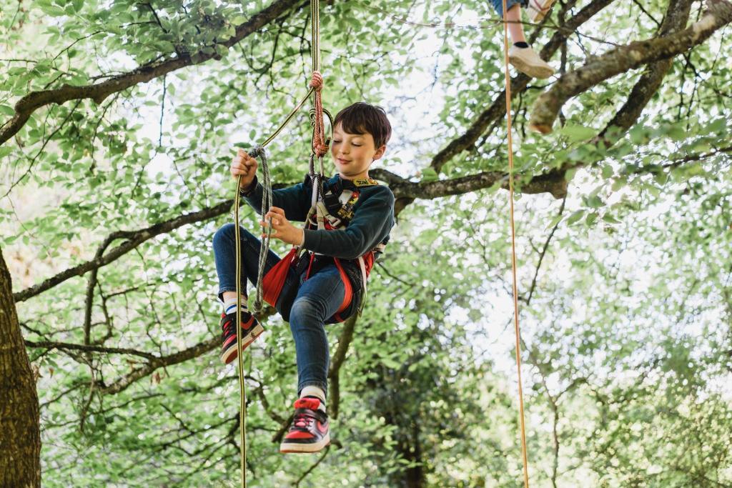 Hosté ubytování Cocoon Village - Glamping - Domaine des Grottes de Han