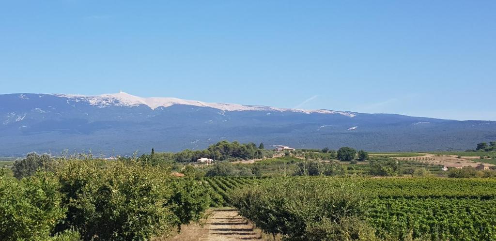 O vedere general&#x103; la mun&#x21B;i sau o vedere la munte luat&#x103; de la aceast&#x103; cas&#x103; de vacan&#x21B;&#x103;