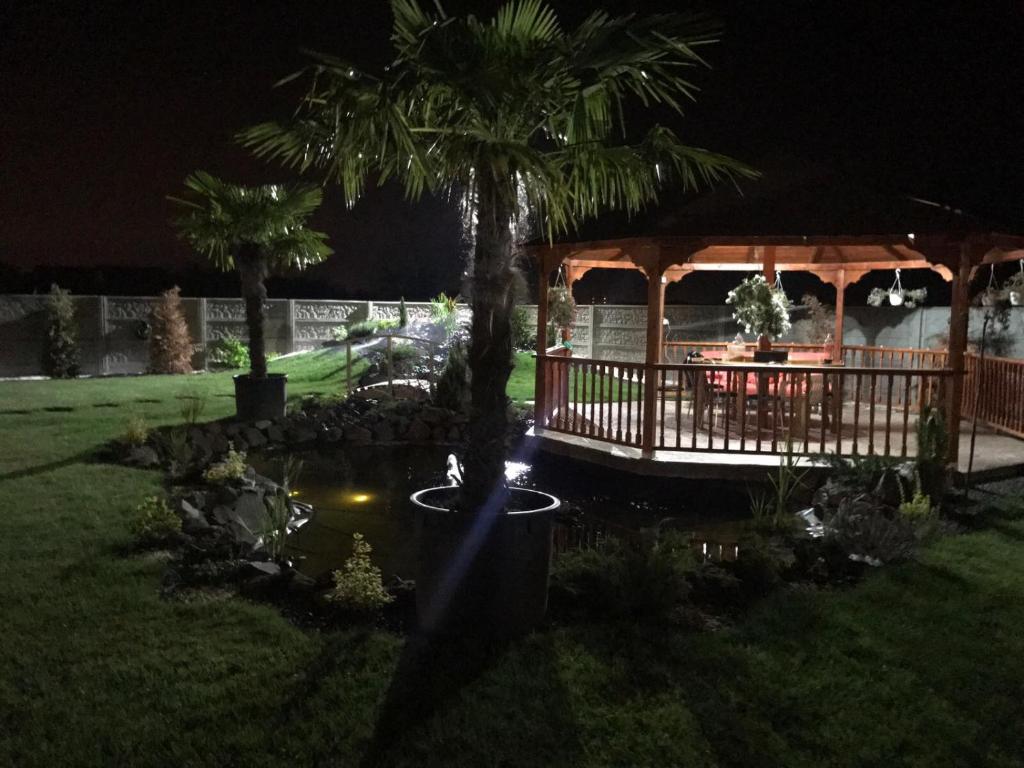 a night view of a house with palm trees and a pond at Conacul Baroque in Săcălaz